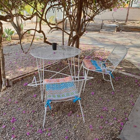 Oasis Shanti Backpackers Oudtshoorn Buitenkant foto