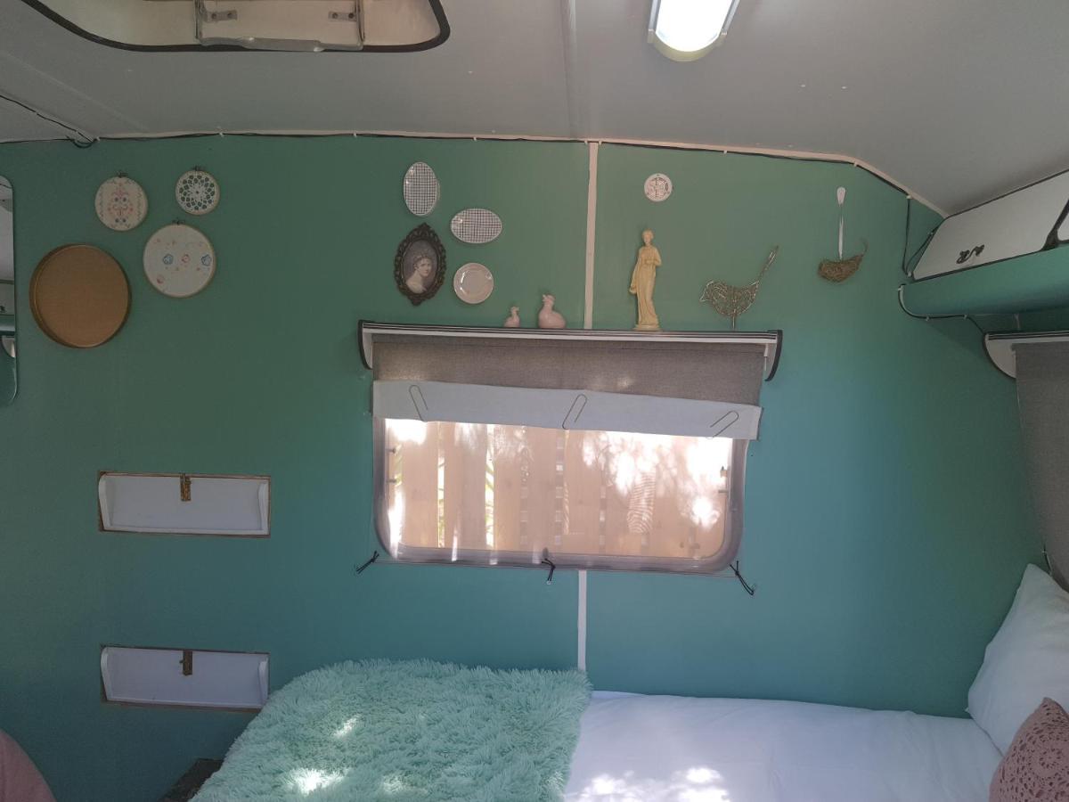 Oasis Shanti Backpackers Oudtshoorn Buitenkant foto