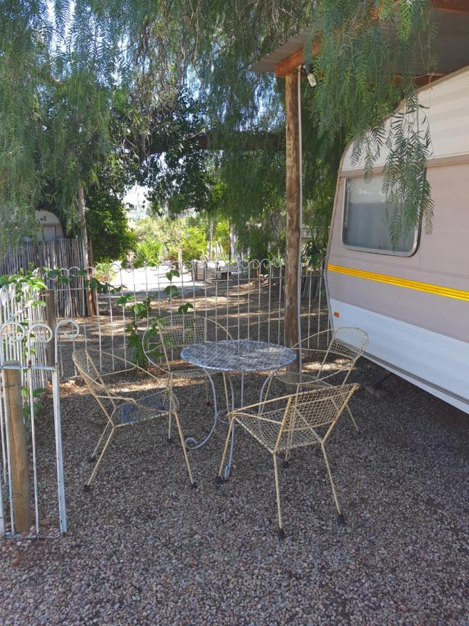 Oasis Shanti Backpackers Oudtshoorn Buitenkant foto