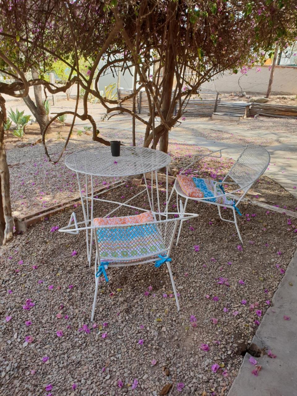 Oasis Shanti Backpackers Oudtshoorn Buitenkant foto